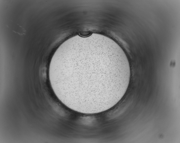 X0000101220067200807251121