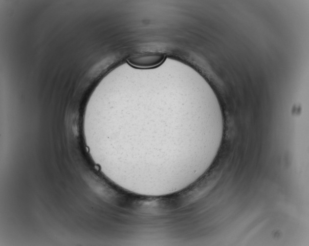 X0000101220068200807251121
