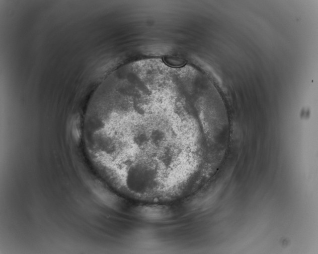 X0000101220069200807251121
