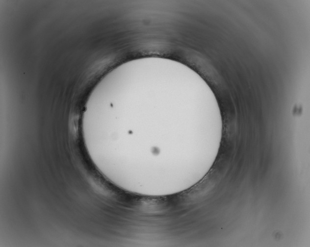 X0000101220070200807251121