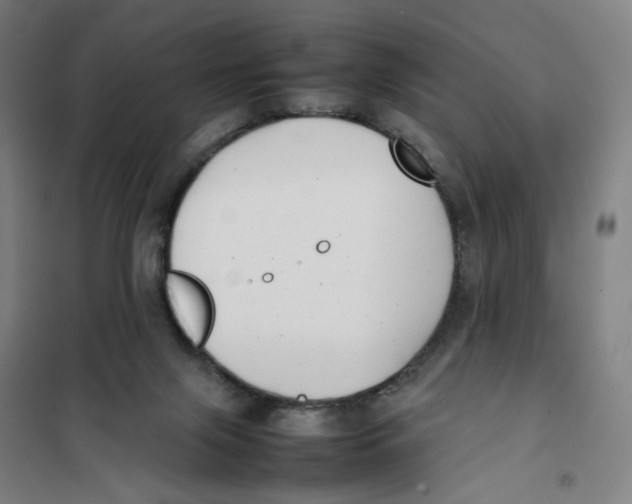 X0000101220071200807251121