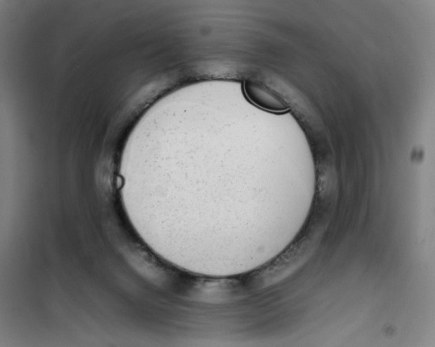 X0000101220072200807251121