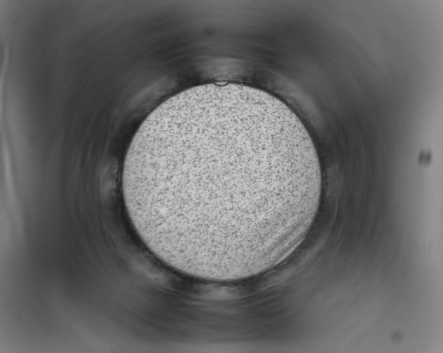 X0000101220073200807251121