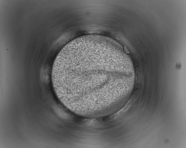 X0000101220074200807251121