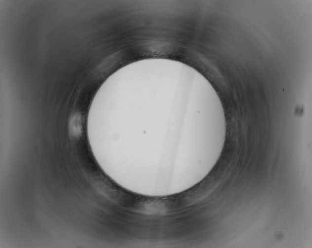 X0000101220075200807251121