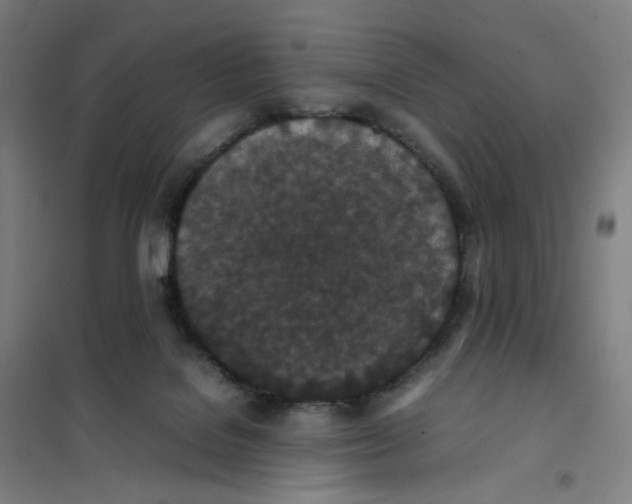 X0000101220076200807251121
