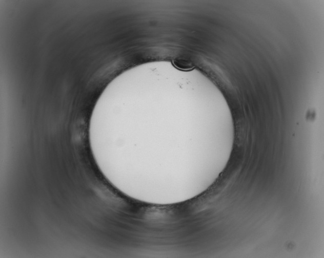 X0000101220077200807251121