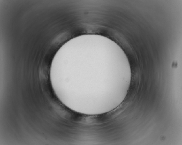 X0000101220078200807251121