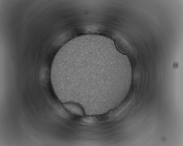 X0000101220079200807251121