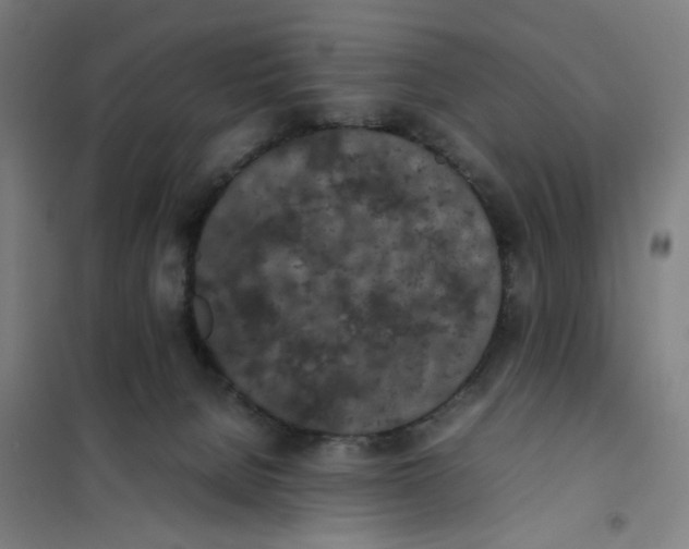 X0000101220080200807251121