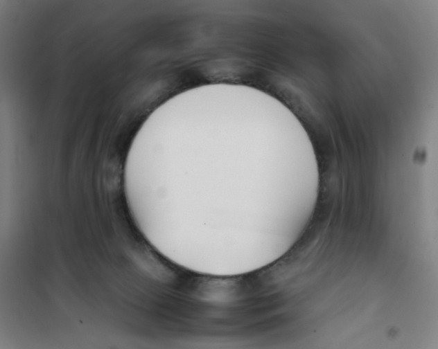 X0000101220081200807251121