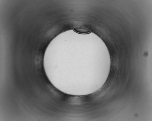 X0000101220082200807251121