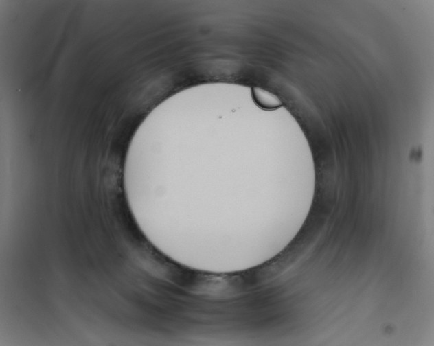 X0000101220083200807251121