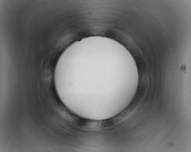 X0000101220084200807251121