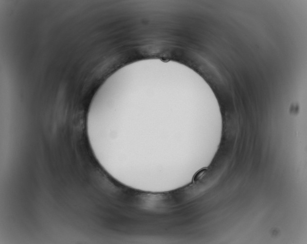 X0000101220085200807251121