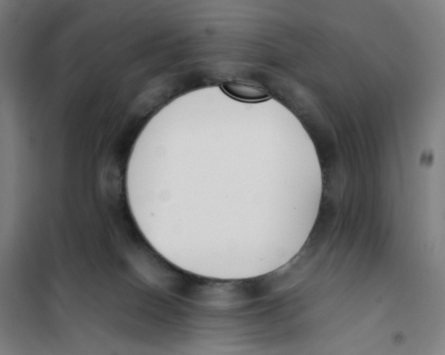 X0000101220086200807251121