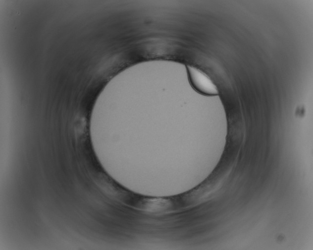 X0000101220087200807251121