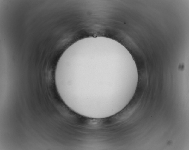 X0000101220088200807251121