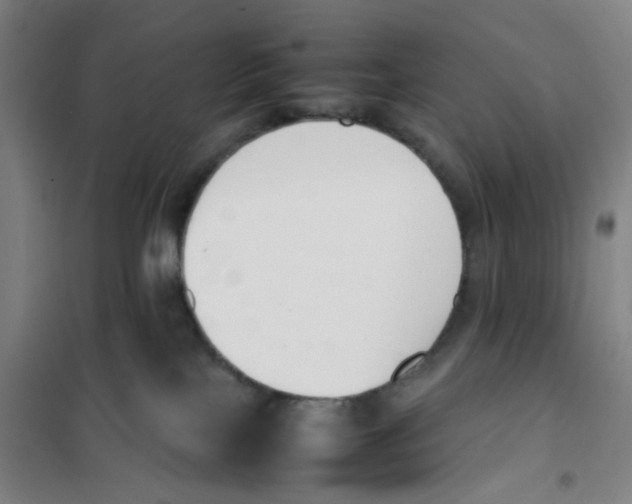 X0000101220089200807251121