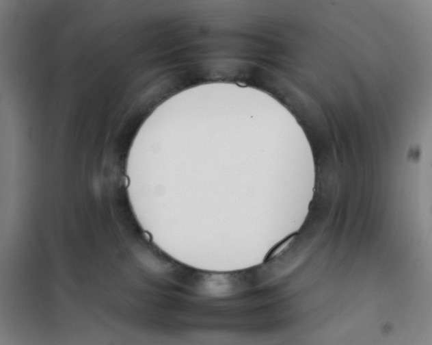 X0000101220091200807251121