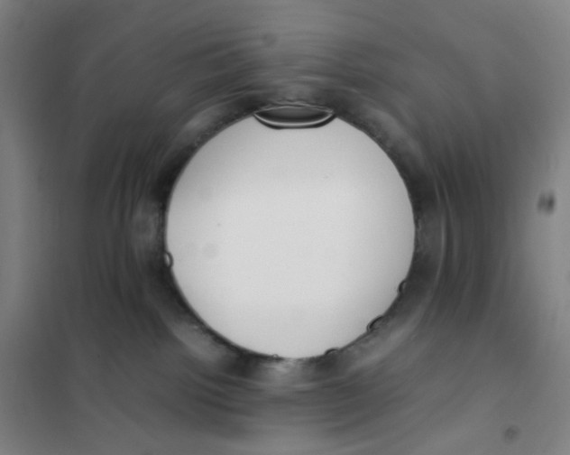 X0000101220092200807251121