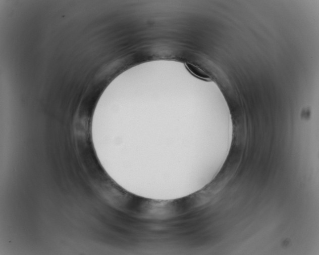 X0000101220093200807251121