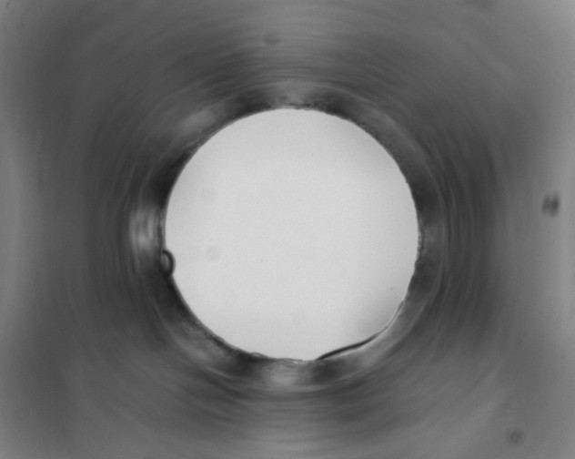 X0000101220094200807251121