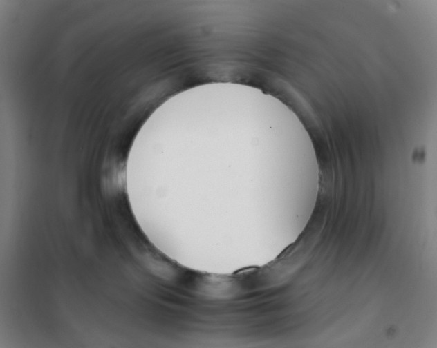 X0000101220095200807251121