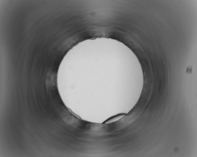 X0000101220096200807251121