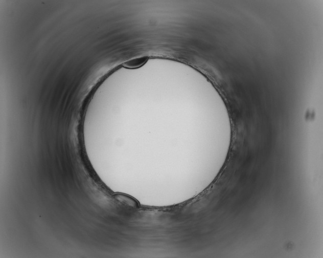 X0000101220098200807251121