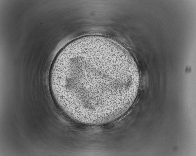 X0000101220099200807251121