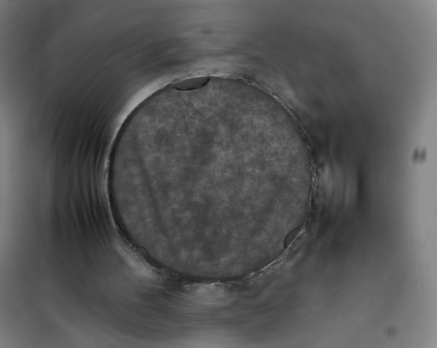 X0000101220100200807251121