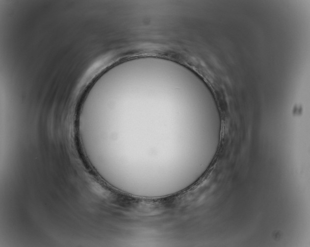X0000101220101200807251121