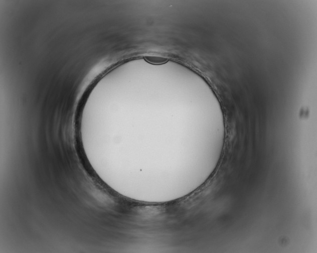 X0000101220102200807251120