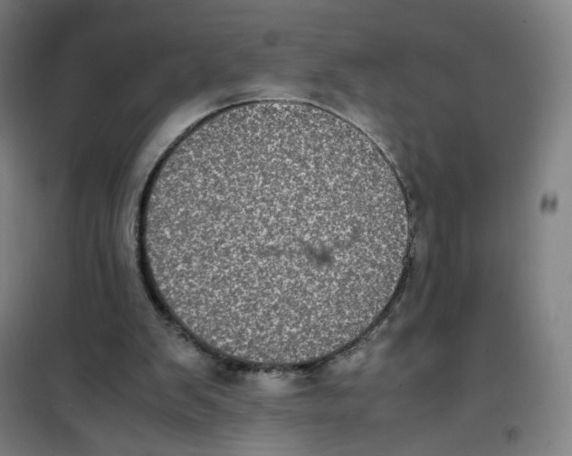 X0000101220103200807251120