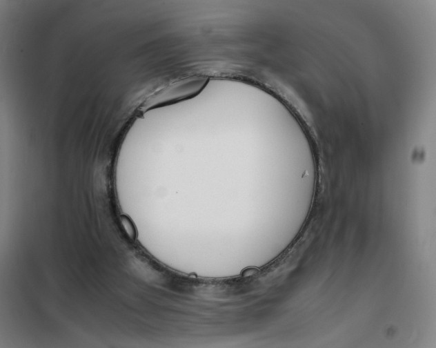 X0000101220105200807251120