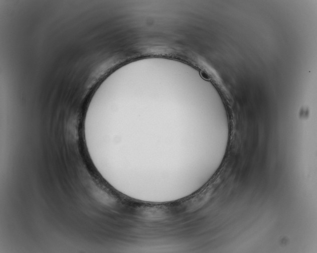X0000101220106200807251120