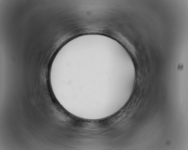 X0000101220107200807251120