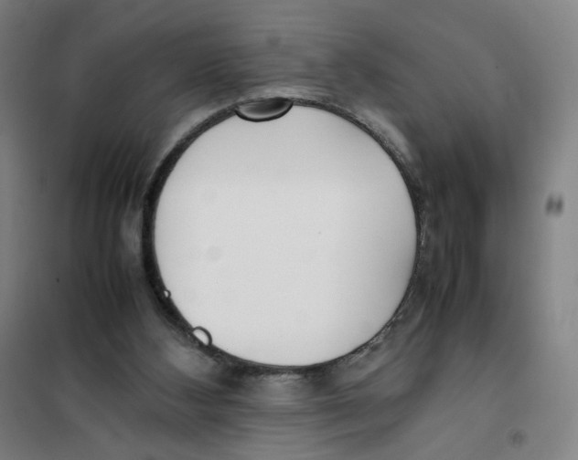 X0000101220108200807251120