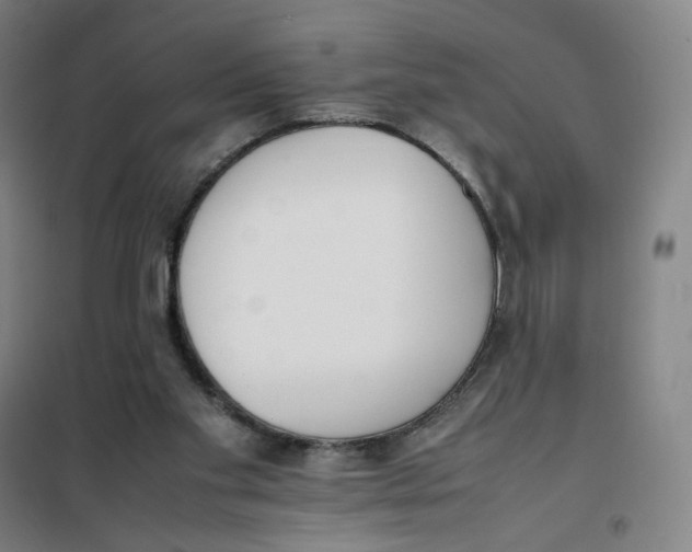 X0000101220109200807251120