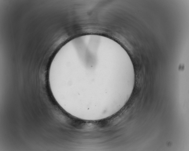 X0000101220111200807251120