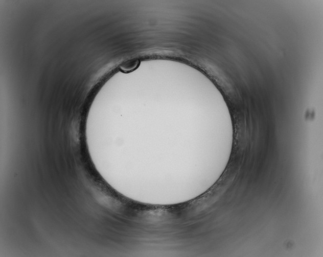 X0000101220112200807251120