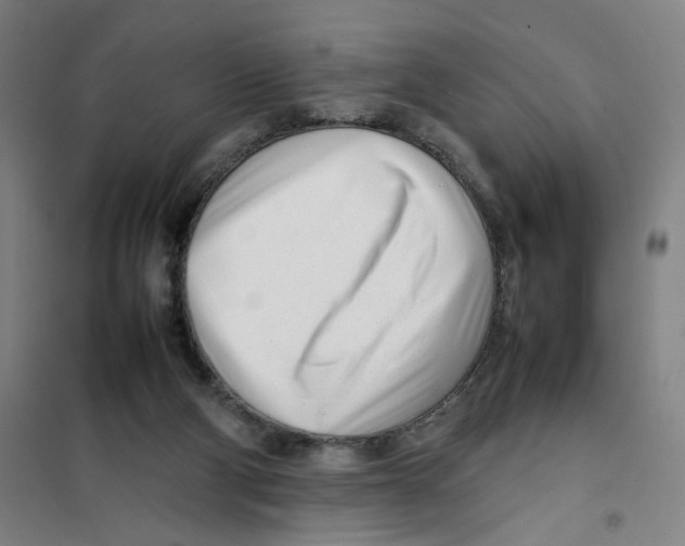 X0000101220114200807251120