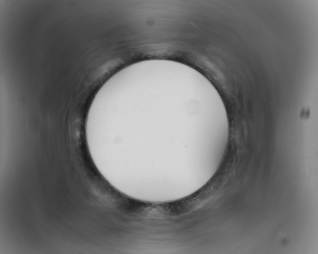 X0000101220115200807251120