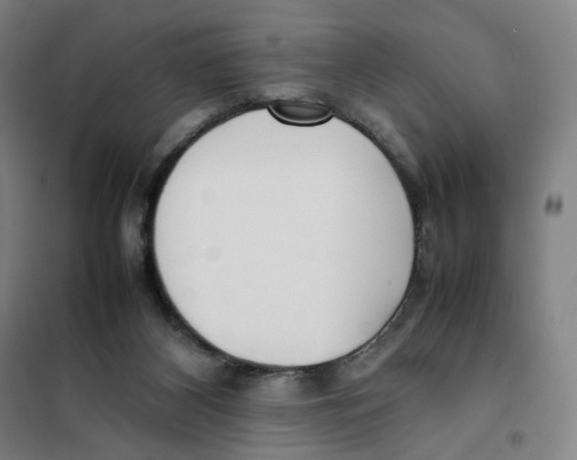 X0000101220116200807251120