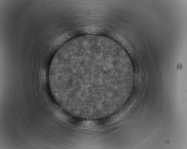 X0000101220117200807251120