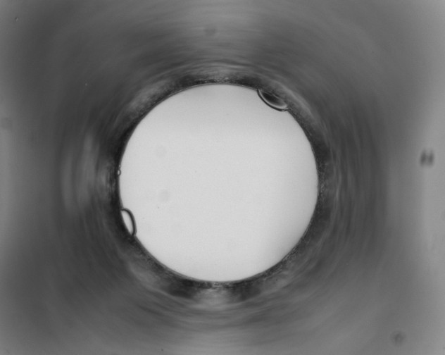 X0000101220119200807251120