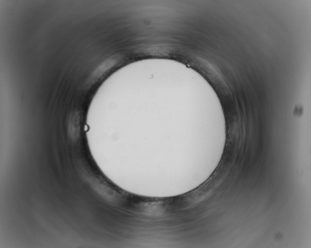 X0000101220120200807251120