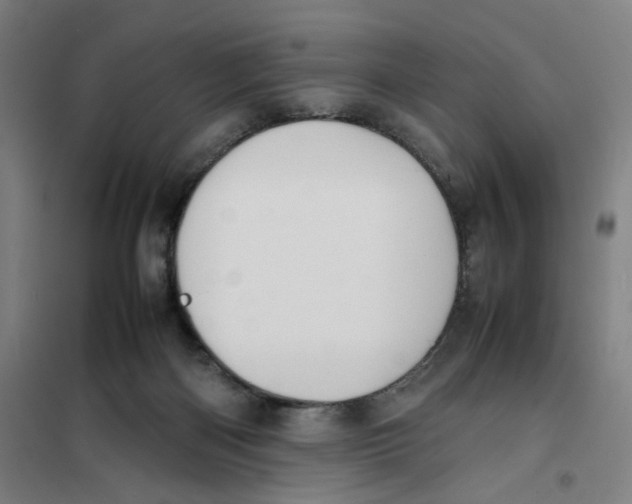 X0000101220122200807251120