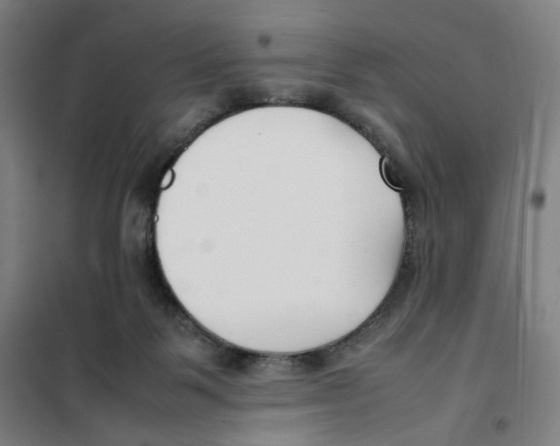 X0000101220123200807251120